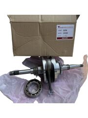 Kuba Zenzero 125 Krank