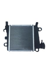 Nmax 125 155 Radyatör